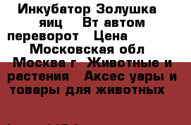 Инкубатор Золушка 70яиц 220Вт автом.переворот › Цена ­ 3 250 - Московская обл., Москва г. Животные и растения » Аксесcуары и товары для животных   